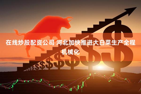 在线炒股配资公司 河北加快推进大白菜生产全程机械化
