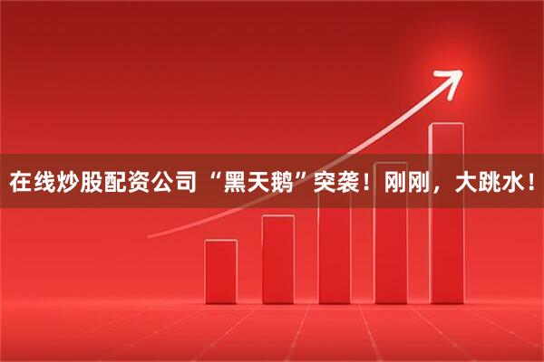 在线炒股配资公司 “黑天鹅”突袭！刚刚，大跳水！