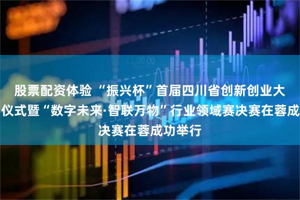 股票配资体验 “振兴杯”首届四川省创新创业大赛启动仪式暨“数字未来·智联万物”行业领域赛决赛在蓉成功举行