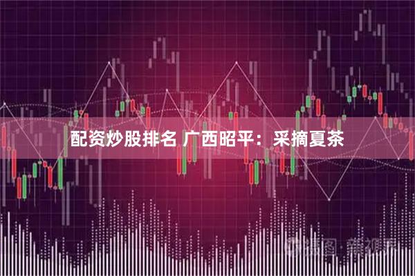 配资炒股排名 广西昭平：采摘夏茶